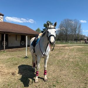 Meet your Posher, Averi